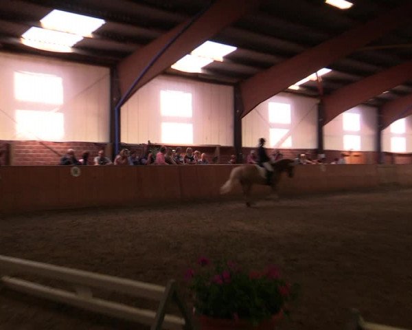 Reitturnier Iserlohn-Kalthof 2019
