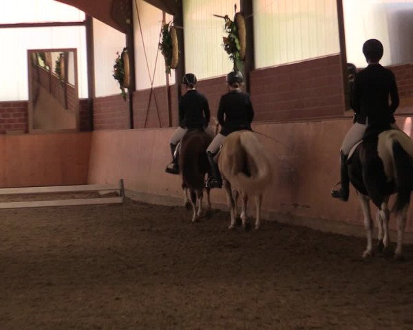Reitturnier Iserlohn-Kalthof 2019