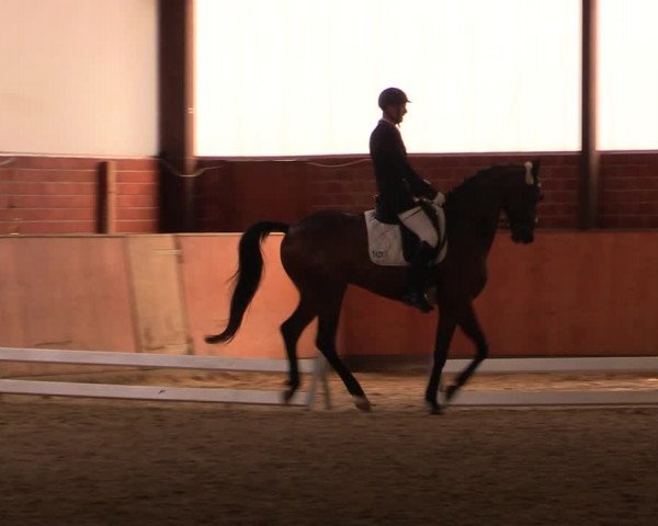 Reitturnier Iserlohn-Kalthof 2019