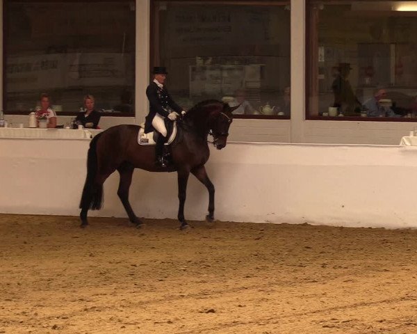 Reitturnier Borken 2019