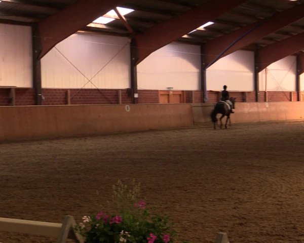 Reitturnier Iserlohn-Kalthof 2019