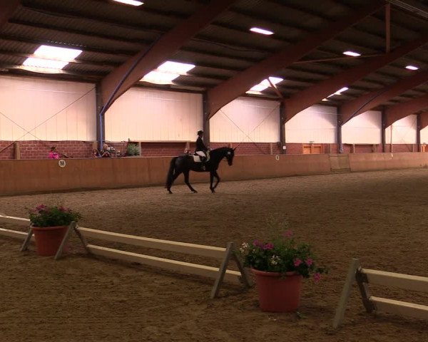 Reitturnier Iserlohn-Kalthof 2019