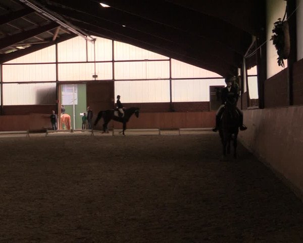 Reitturnier Iserlohn-Kalthof 2019