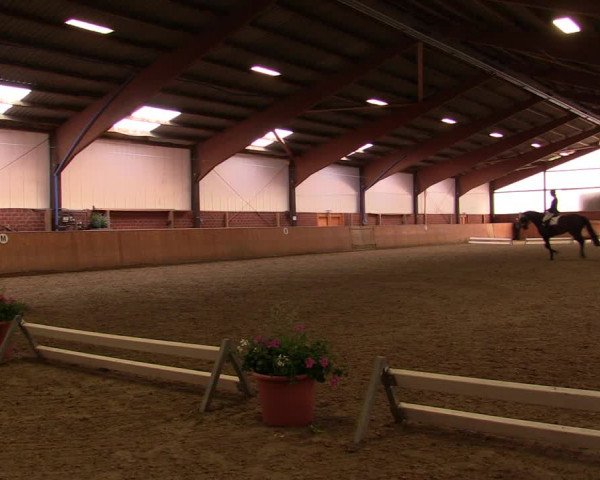 Reitturnier Iserlohn-Kalthof 2019