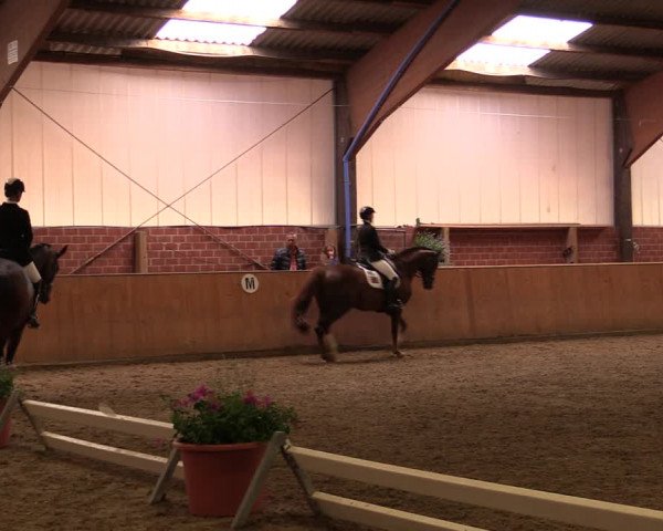 Reitturnier Iserlohn-Kalthof 2019