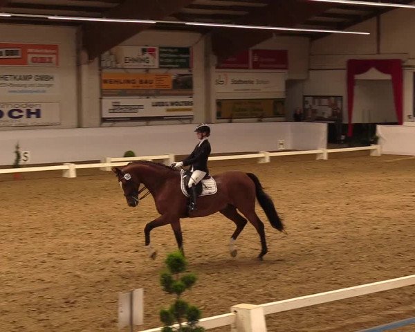 Reitturnier Borken 2019