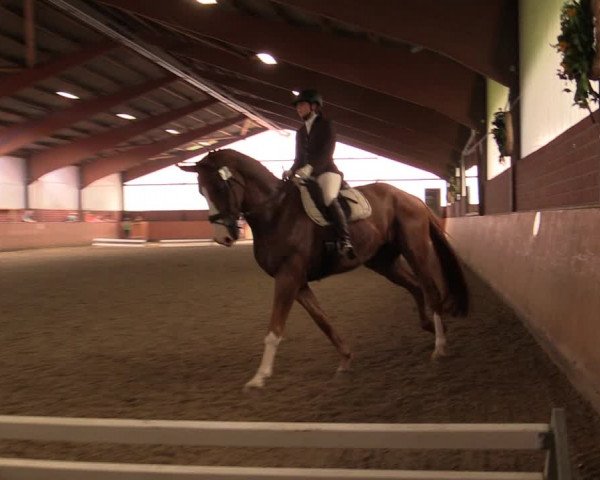 Reitturnier Iserlohn-Kalthof 2019