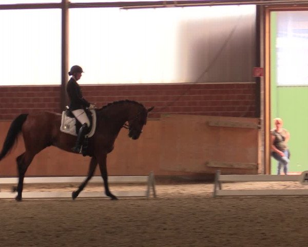 Reitturnier Iserlohn-Kalthof 2019