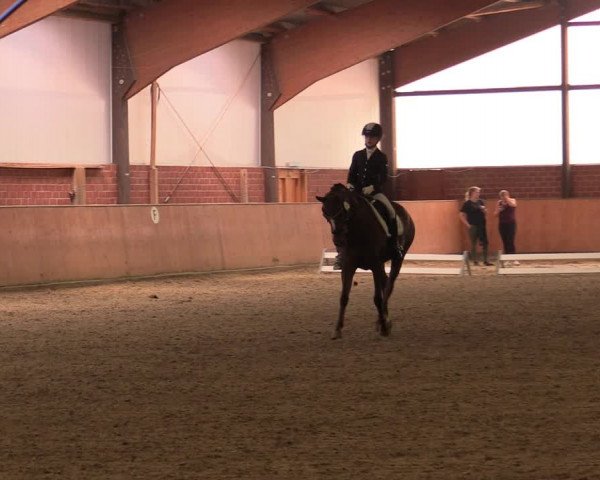 Reitturnier Iserlohn-Kalthof 2019