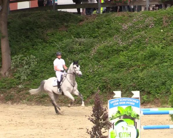 Reitturnier Iserlohn-Kalthof 2019