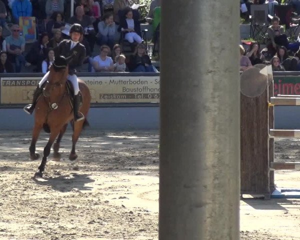 Reitturnier Zeiskam 2019