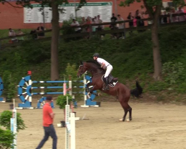 Reitturnier Iserlohn-Kalthof 2019