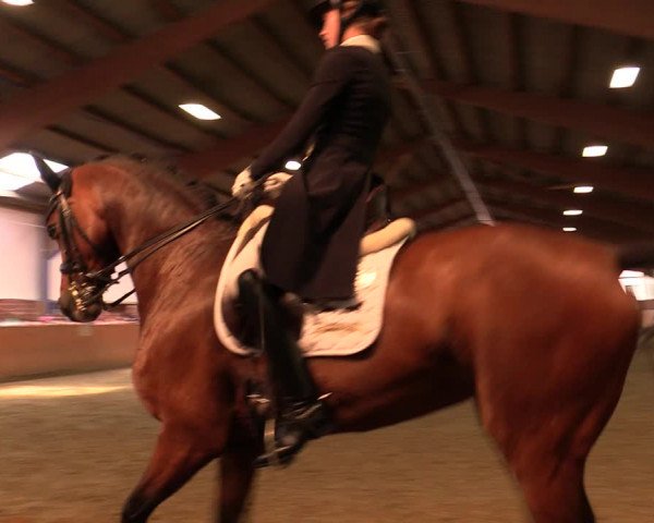 Reitturnier Iserlohn-Kalthof 2019