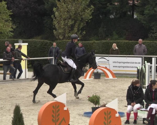Reitturnier Durmersheim-Hardt 2021