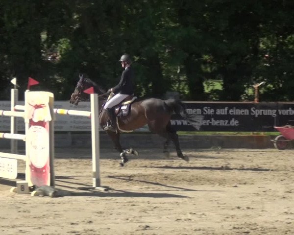 Reitturnier Zeiskam 2019