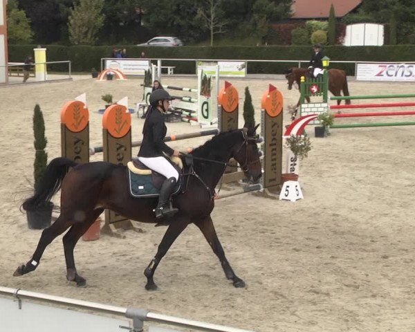 Reitturnier Durmersheim-Hardt 2021