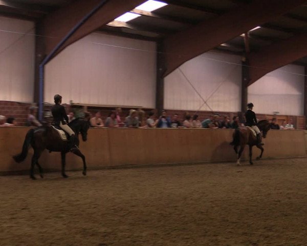 Reitturnier Iserlohn-Kalthof 2019