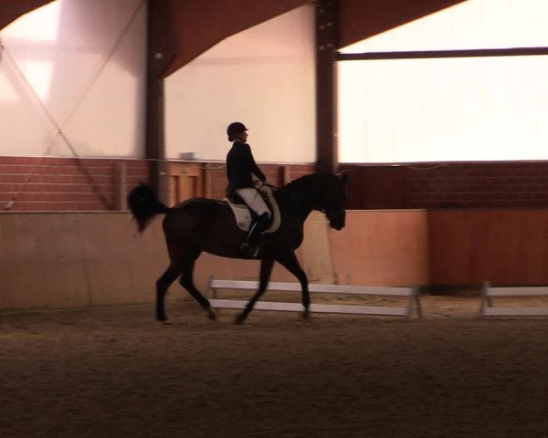 Reitturnier Iserlohn-Kalthof 2019