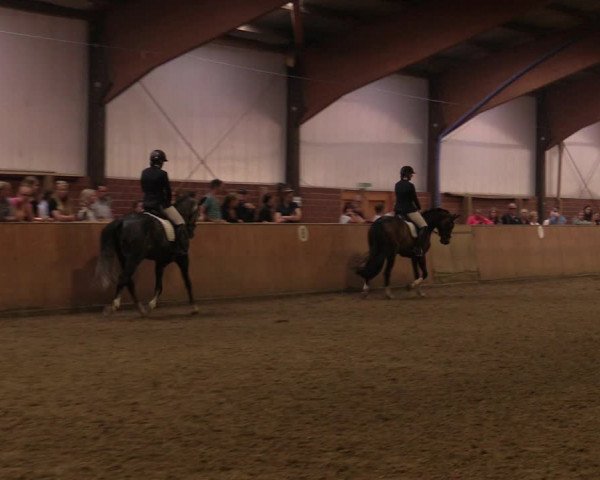 Reitturnier Iserlohn-Kalthof 2019
