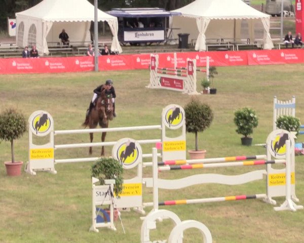Reitturnier Cottbus-Sielow 2019