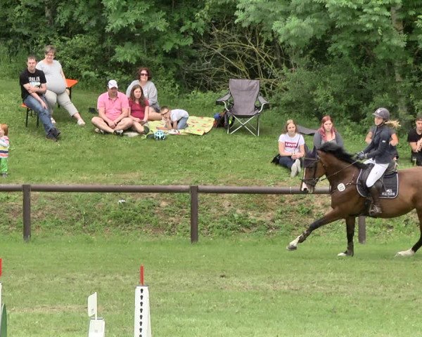 Reitturnier Jettingen 2019