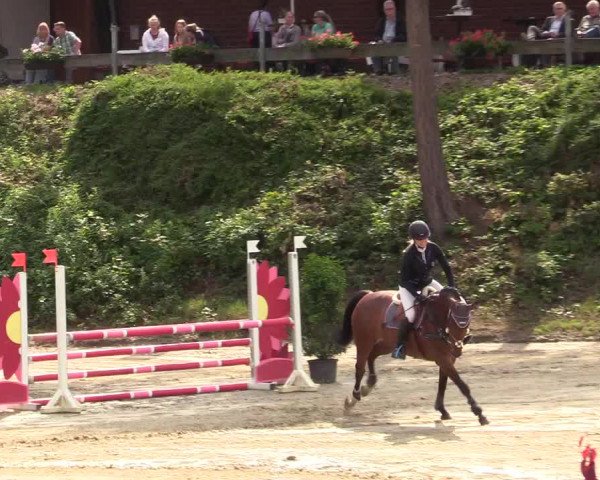 Reitturnier Iserlohn-Kalthof 2019
