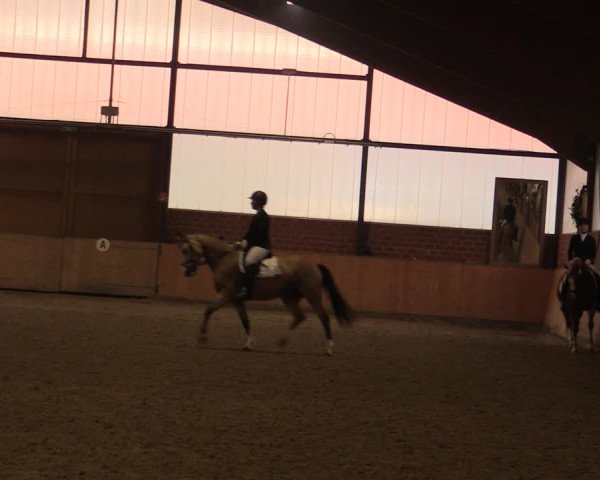 Reitturnier Iserlohn-Kalthof 2019