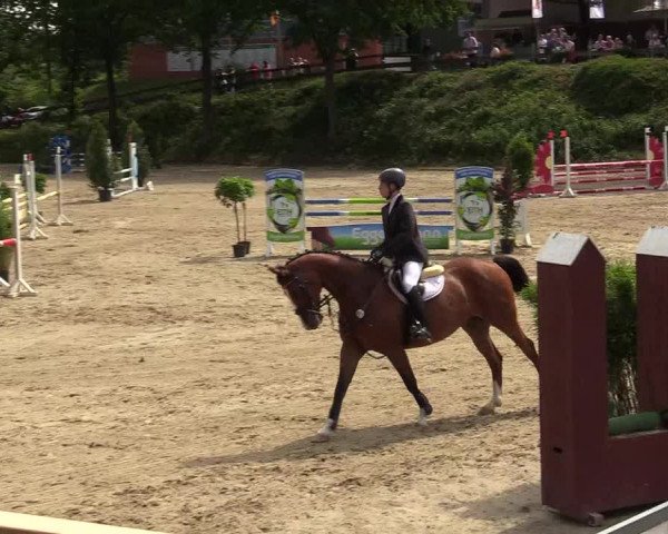 Reitturnier Iserlohn-Kalthof 2019
