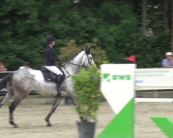 Reitturnier Zeiskam 2019