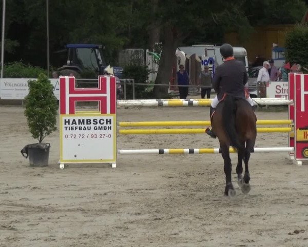Reitturnier Zeiskam 2019