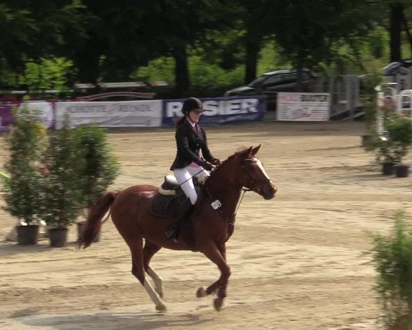 Reitturnier Iserlohn-Kalthof 2019