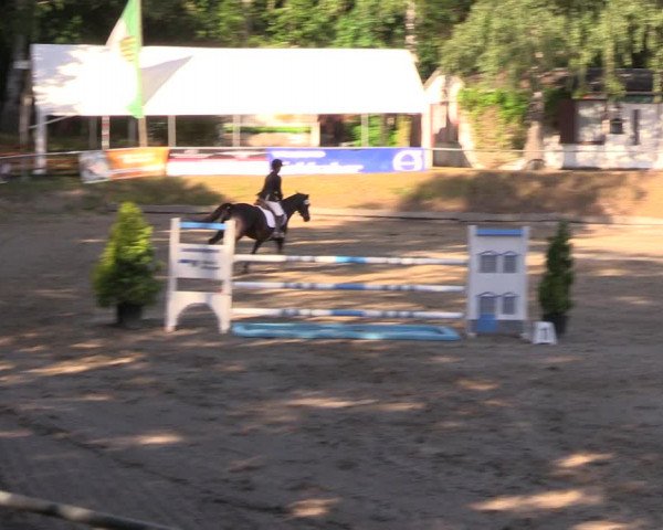 Reitturnier Lgl.-Oberhain, B95 2019