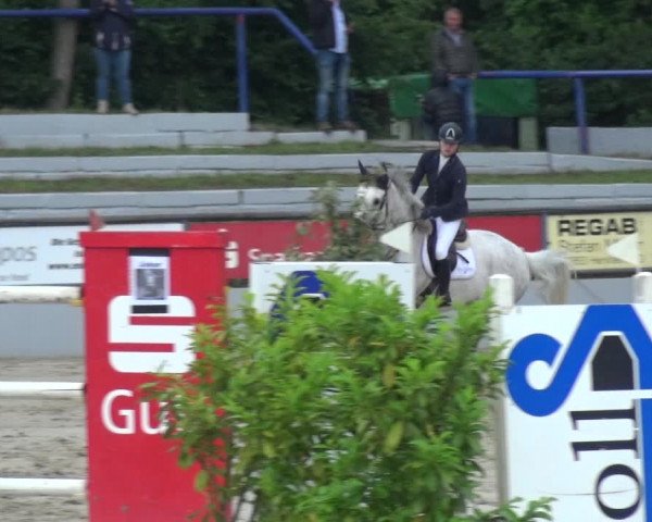 Reitturnier Zeiskam 2019