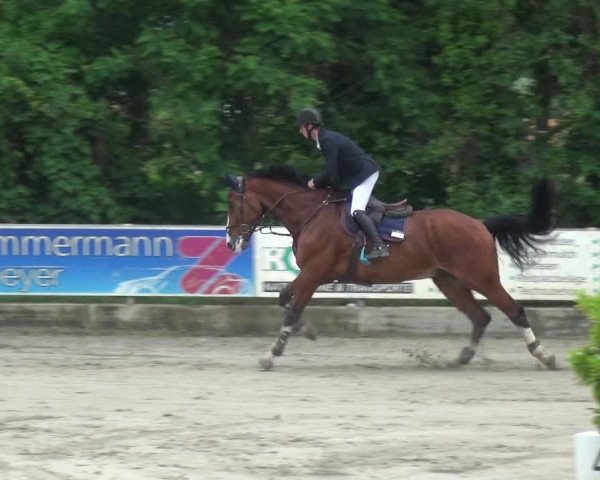 Reitturnier Zeiskam 2019