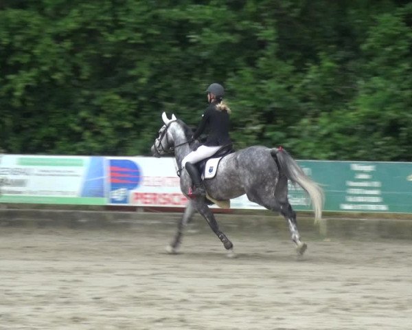 Reitturnier Zeiskam 2019