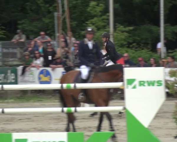Reitturnier Zeiskam 2019