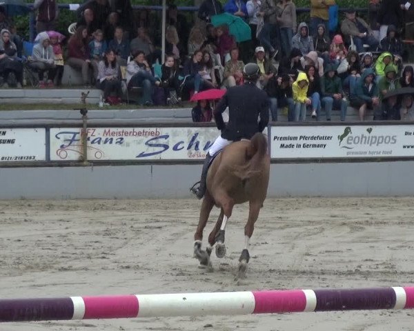 Reitturnier Zeiskam 2019