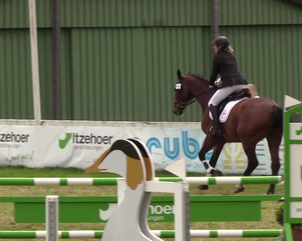 Reitturnier Rendsburg 2019