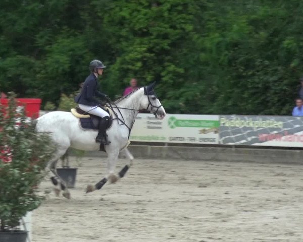 Reitturnier Zeiskam 2019