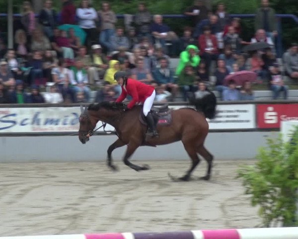 Reitturnier Zeiskam 2019