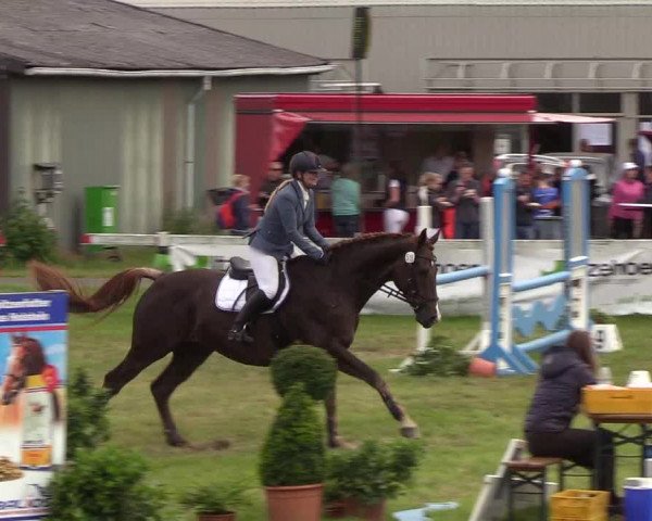 Reitturnier Rendsburg 2019