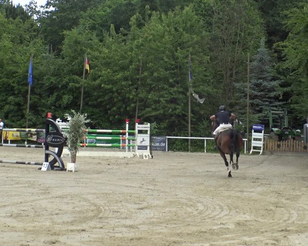 Reitturnier Bochum-Nord 2019