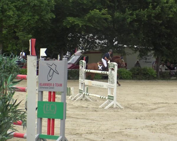 Reitturnier Bochum-Nord 2019