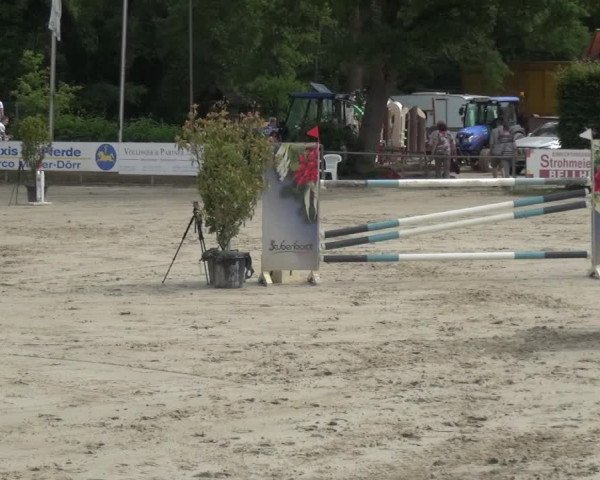 Reitturnier Zeiskam 2019