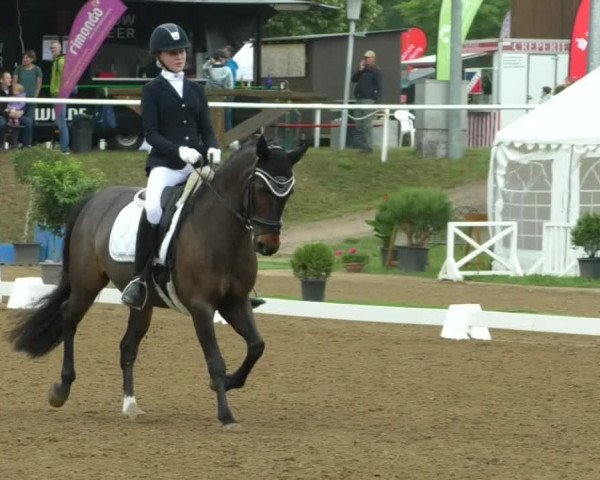 Reitturnier Nußloch 2019