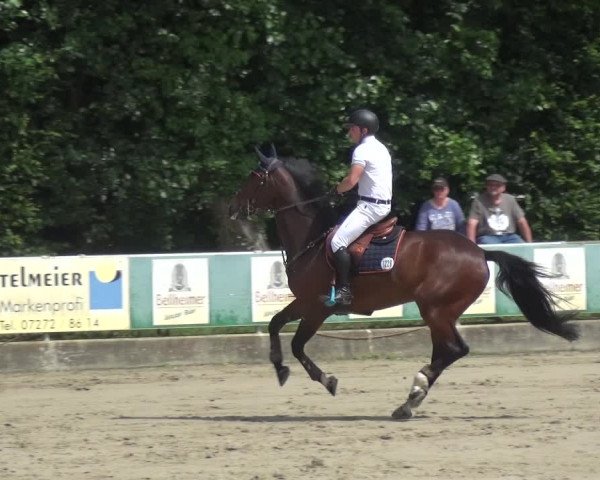 Reitturnier Zeiskam 2019