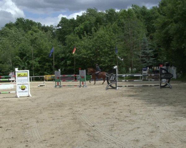 Reitturnier Bochum-Nord 2019