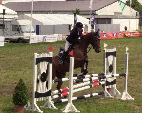Reitturnier Rendsburg 2019