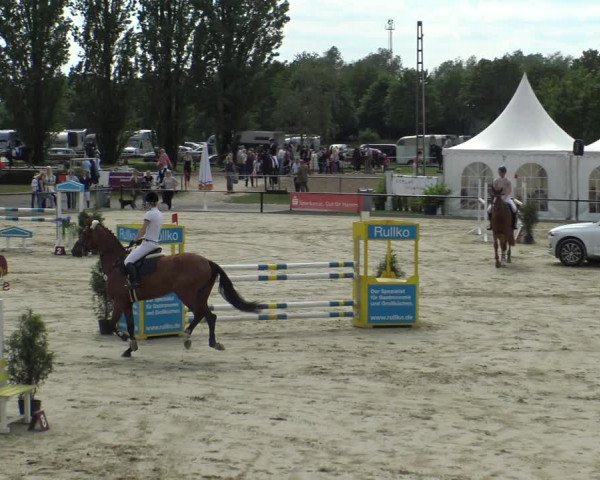 Reitturnier Hamm-Rhynern 2019