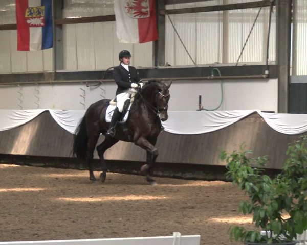Reitturnier Bochum-Nord 2019
